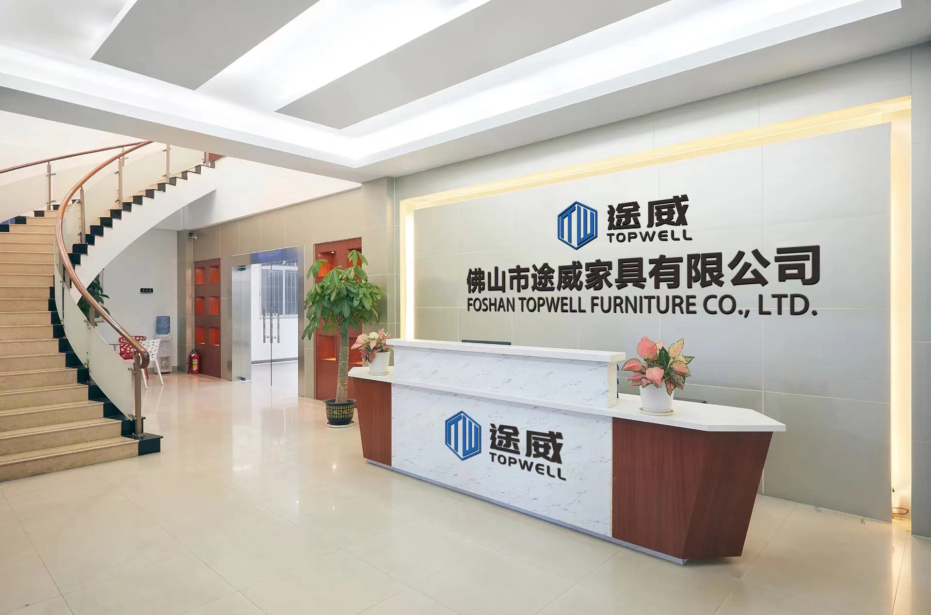 Company profile